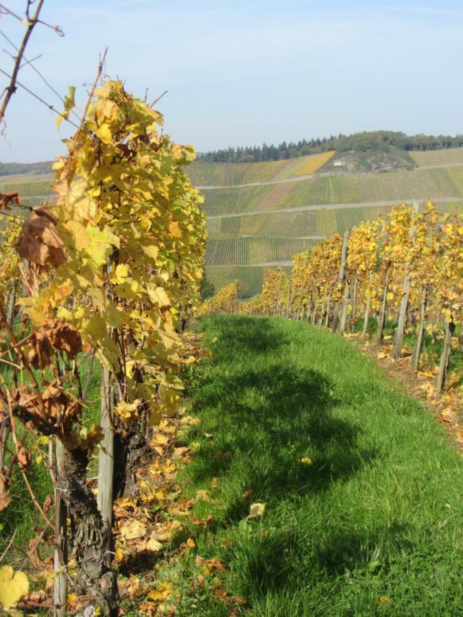 شقة Mosel-Auszeit برونبيبيرغ المظهر الخارجي الصورة